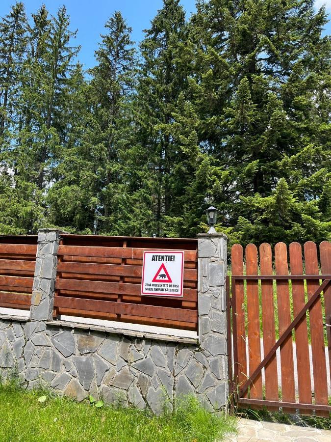 Vila 7 Predeal - Unique Location In The Forest Eksteriør billede